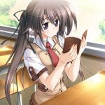 エロゲ選ぶようにサンプルCG集めてみた251のサムネイル画像